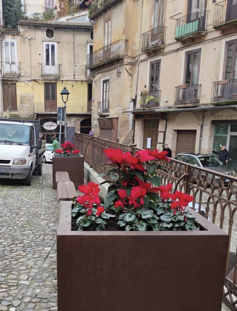Stelle di Natale al Centro storico di Cosenza