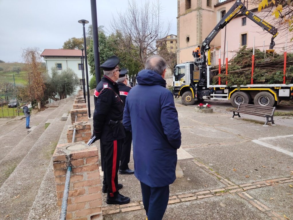 Cipressi Chiesa Arcavacata 2