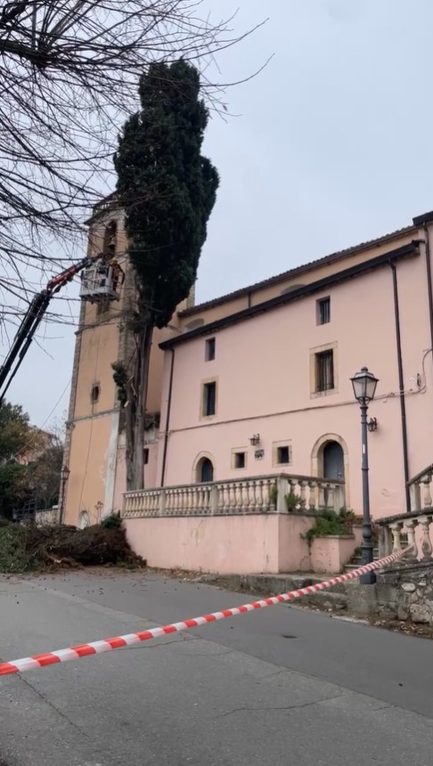 Cipressi Chiesa Arcavacata 3