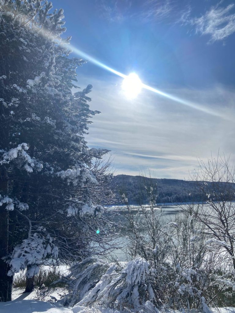 neve in Sila gennaio 2026 5