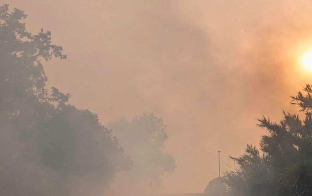 Incendio Rende 2