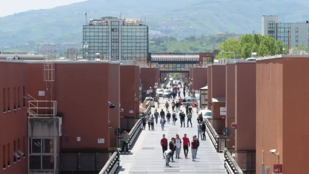 Unical_Università della Calabria_ponte_studenti