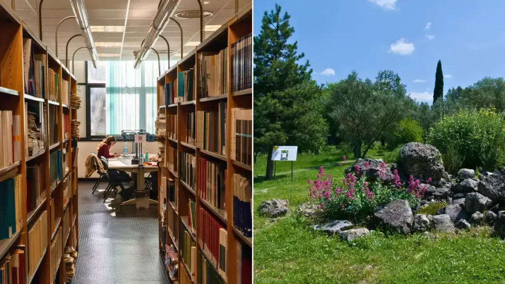 biblioteca_musei Unical
