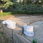 Parco Robinson_pesciolini7
